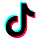 TikTok Icon
